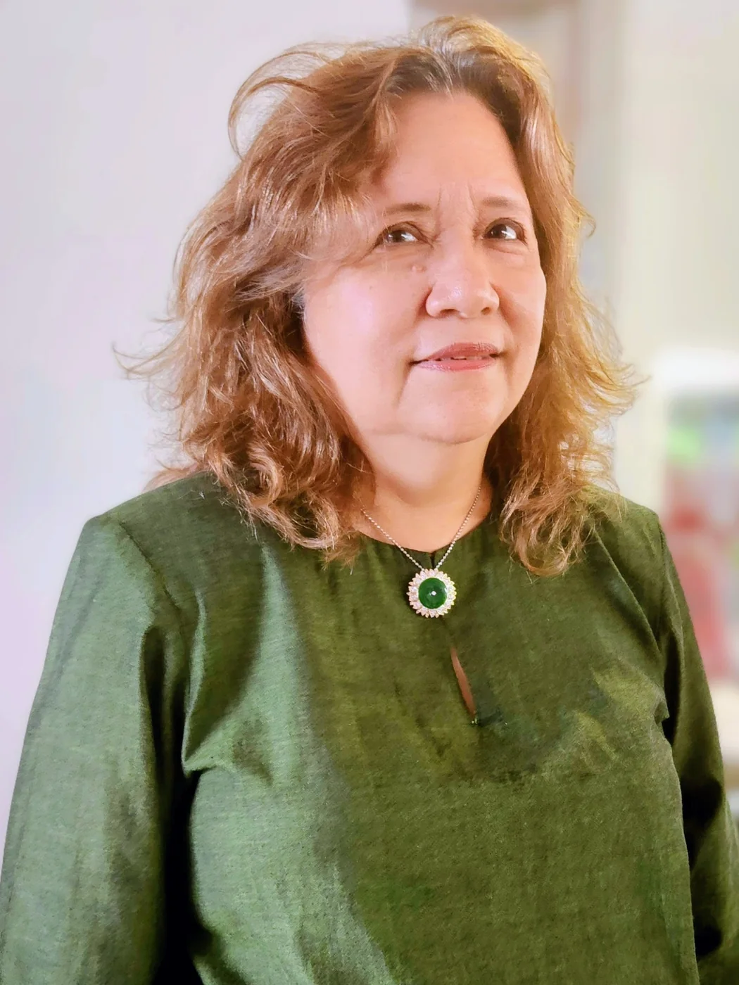 Puan Nor Jasmin binti Tan Sri Mohd Azmi